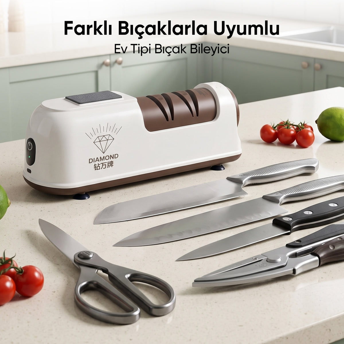 Diamond Profesyonel Elektrikli Bıçak Bileyici Şarjlı Bileme Makinesi