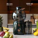 FR-KM01 Essenza Katı Meyve Sıkacağı Hız Ayarlı 1,2L 800W - Yeşil