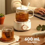 FR-KT02 600mL 400W Elektrikli Çok Fonksiyonlu Cam Su Isıtıcısı Kettle Bitki Çayı Makinesi